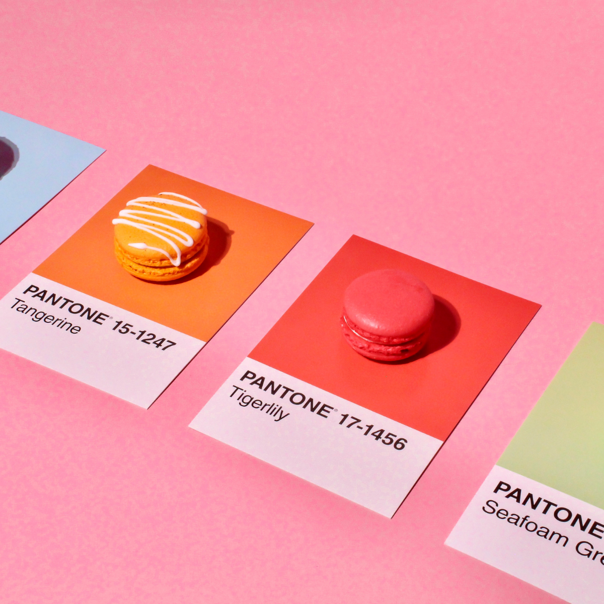 Over 10,000 Pantone Colours, What For?